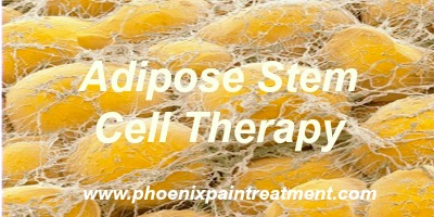 Adipose Tissue-for regenerative cell therapy